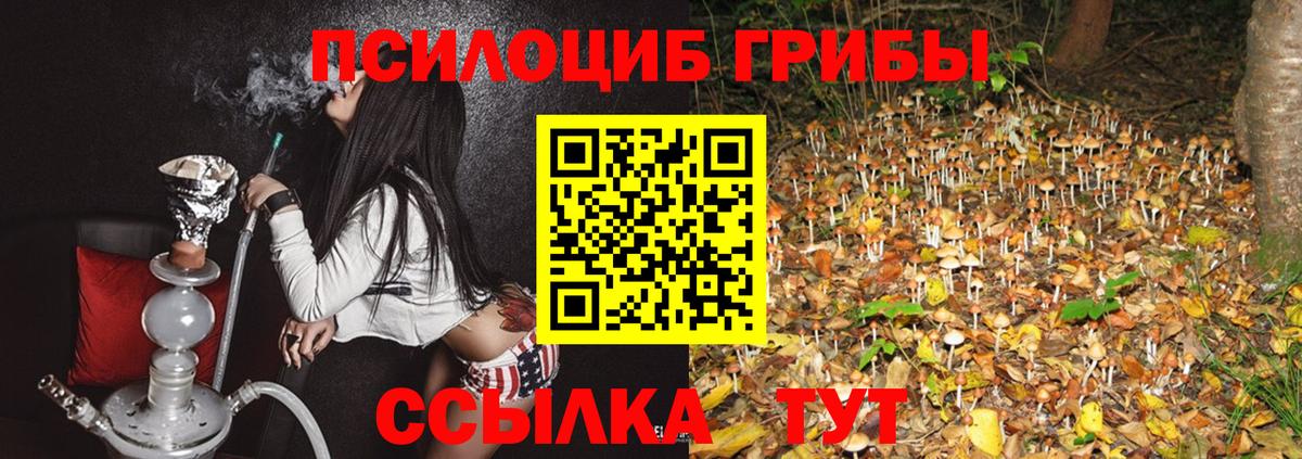 Псилоцибиновые грибы GOLDEN TEACHER  Вход с VPN  Вязники  Галлюциногенные грибы мухоморы 