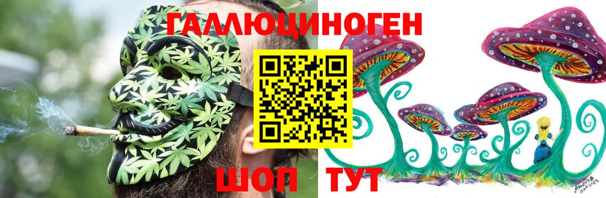 Псилоцибиновые грибы мицелий Вязники